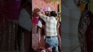 Dulha bi Lajab hai Dulhan bi #trending #wedding #love #reels #song #ytshorts #viral