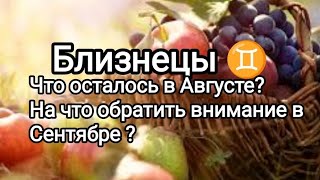 Близнецы ♊ Итоги Августа. таро_расклад