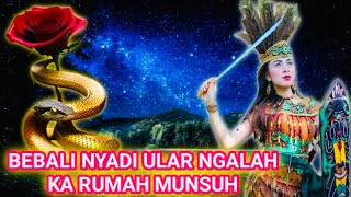 Jadi Enggau Bunsu Ular Mersian - 3