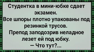 Как Хитрая Студентка в Мини Юбке Экзамен Сдавала! Сборник Свежих Анекдотов! Юмор!