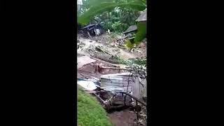 Banjir Kalibaru | Banyuwangi 3-11-2022