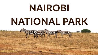 Nairobi National Park