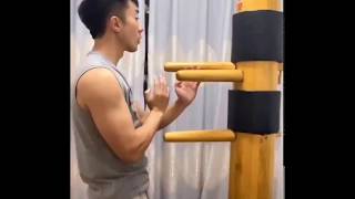 Anonymous Wooden Dummy Wing Chun training