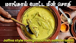 மாங்காய் போட்ட யாழ்ப்பாணத்து மீன் சொதி | Jaffna style Mango  Fish sothi tamil | yarlppanththu sothi