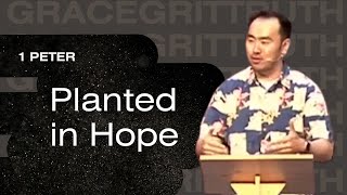 Planted in Hope (June 11, 2023)