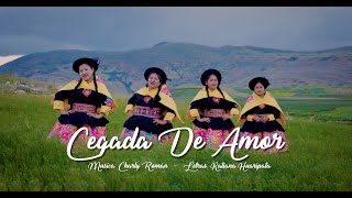 CHICAS ROSAS Y CLAVELES - CEGADA DE AMOR