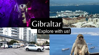 Gibraltar wild monkeys!