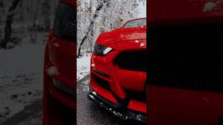 #mustang #fordmustang #fordperformance #pp2 #red #winter