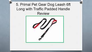 Top 10 Best Comfortable Collars & Leashes in 2019