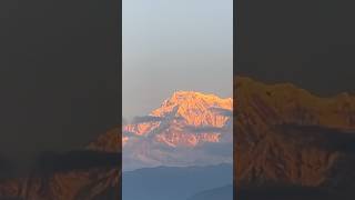 Sunrise reflection on Mount Annapurna #youtubeshorts #mountains #annapurna #nepal #travel #adventure