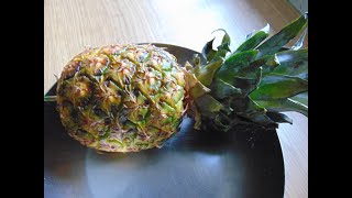 Why Eat Pineapple & How to Grow it - Boost your immune, in many studies found to be better than MEDI