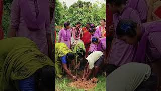 Plantation program in visakhapatnam