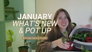 What's New in January! | Repotting & Chat