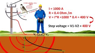 Step voltage and why birds are not electrocuted on medium voltage electrical cables