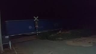 trem celulose vazio da vli com a dash9 BB40 4 locomotiva passando em Suzana a noite