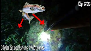 Ep #65 | Night Spearfishing Philippines |