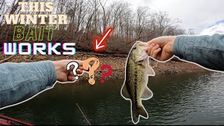 Bass fishing Norris Lake