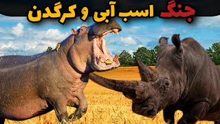 حمله ی خطرناک  اسب آبی و کرگدن😱 | کدوم  حیوان  برنده این حمله وحشتناک خواهد بود؟؟ اسب آبی یا کرگدن ؟