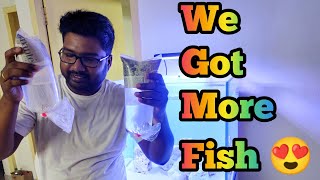 இப்படி ஒரு மீனை 🐟 பாத்திருக்கிங்களா 😍 | We got new fish for our Marine Aquarium | Tamil