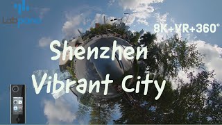 360° VR view of vibrant city Shenzhen China on Weekend