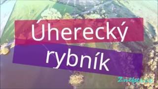 Úherecký rybník - znebes.cz