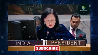 Israel-Palestine issue: “No alternative to Two-State solution…” India at UNSC reiterates its stance