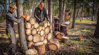 Natürlicher Sichtschutz aus Holz für mehr Biodiversität