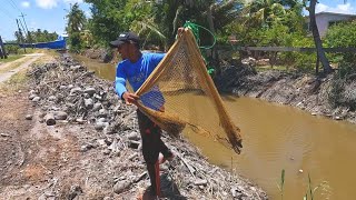 Catching Hassa in Berbice Guyana (2023)