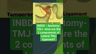 INBDE- Anatomy - TMJ- what are the 2 components of Lateral TMJ ligament?