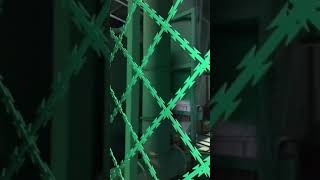 Green Razor Wire Fence