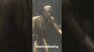 Blue Dog Blasting - Soda Blasting Trophy - #1 in Sandblast Parts