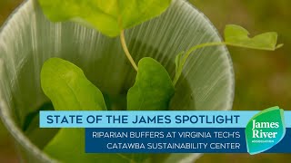 State of the James Spotlight: Riparian Buffers at Virginia Tech's Catawba Sustainability Center