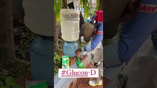 Glucon-D | Summer | Refreshment | Energy | CAS | @Glucon-D  #glucond