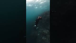 Happy Valentine’s Day❤️ #freediving #bohol #philippines #sabbatical #2024 #awra ​⁠🎥:@cabgod