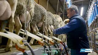 Milking systems for sheep : Farmer testimonial (France)