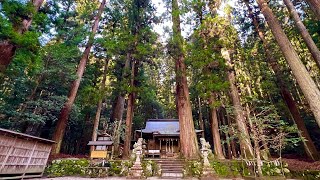 2024年龍神緊急ライブ！※この映像を見かけたら今日必ず見ておいて下さい※願いが叶う不思議な力があるオンライン遠隔参拝