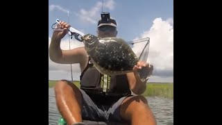 22 inch Flounder Catch - South Jersey Fluke - #shorts