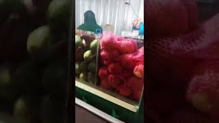 Abil dan mama berburu minum segar jus buah segar