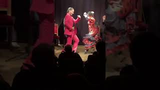 A Puro Flamenco - Tablao Valparaíso Profundo