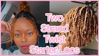 I STARTED LOCS!!! | Two Strand Twist Starter Locs