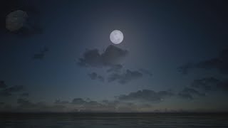 Moon Light Over The Ocean NO MUSIC Relax Your Mind 2K HD