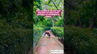 #forwardbends #standingyoga #nature #rainyday #yogilife #yogamom #minimalism #satviklifestyle