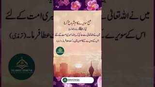 Islamic Shorts||Best Islami Quotes #islamic #quran #hadees #quotes #shortbayan #viralvideo #love #yt