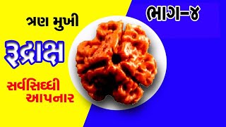 ત્રણ મુખી રુદ્રાક્ષ | સર્વ સિદ્ધિ આપતો રુદ્રાક્ષ |  Three Face Rudraksha | #Rudrax