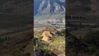 😍 #LandMTB 🤯CRAZY Mountain Biking Moments Downhill & Freeride