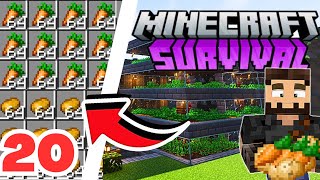 A MEGA FARM DE BATATA E CENOURA (CraftDiones)#20 Minecraft Survival 1.19