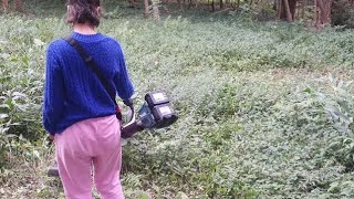 Testamos a roçadeira a bateria Makita