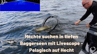 Hechte suchen in tiefen Baggerseen mit Livescope - Pelagisch auf Hecht