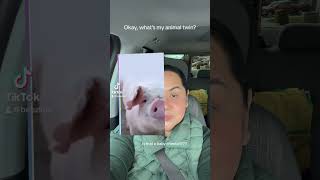 What’s my animal twin? #dailytiktok #tiktok #tiktokfun #stressreliever #shorts