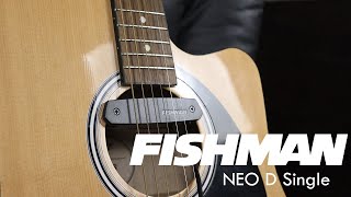 Review Captador Passivo Fishman Neo D Single